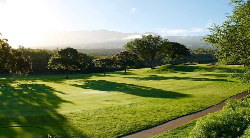 Golf Course Developments
